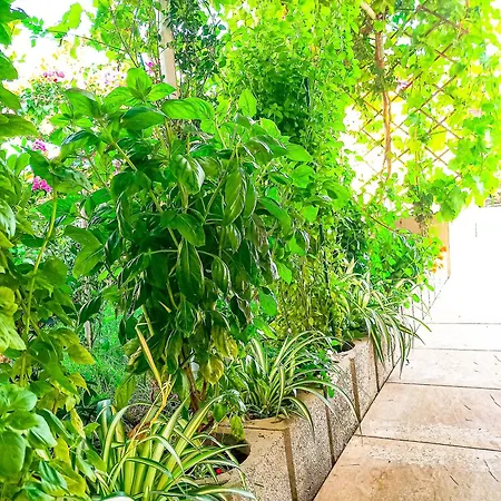 דירה Yucca Studio, Beautiful With Garden