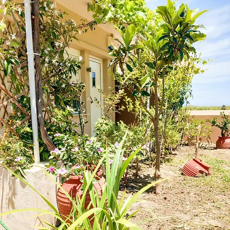 Yucca Studio, Beautiful With Garden דירה