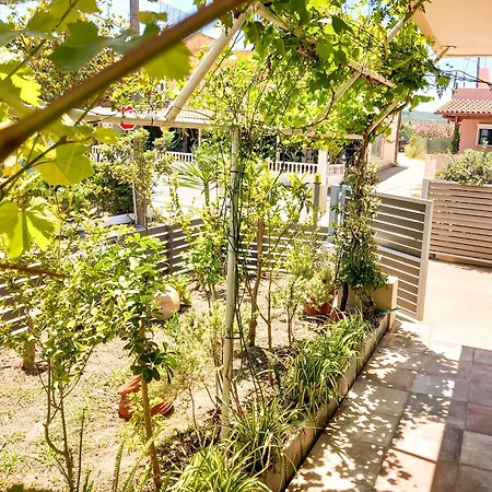 Apartmán Yucca Studio, Beautiful With Garden *